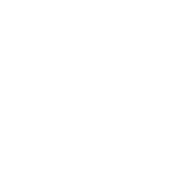 XFL white logo
